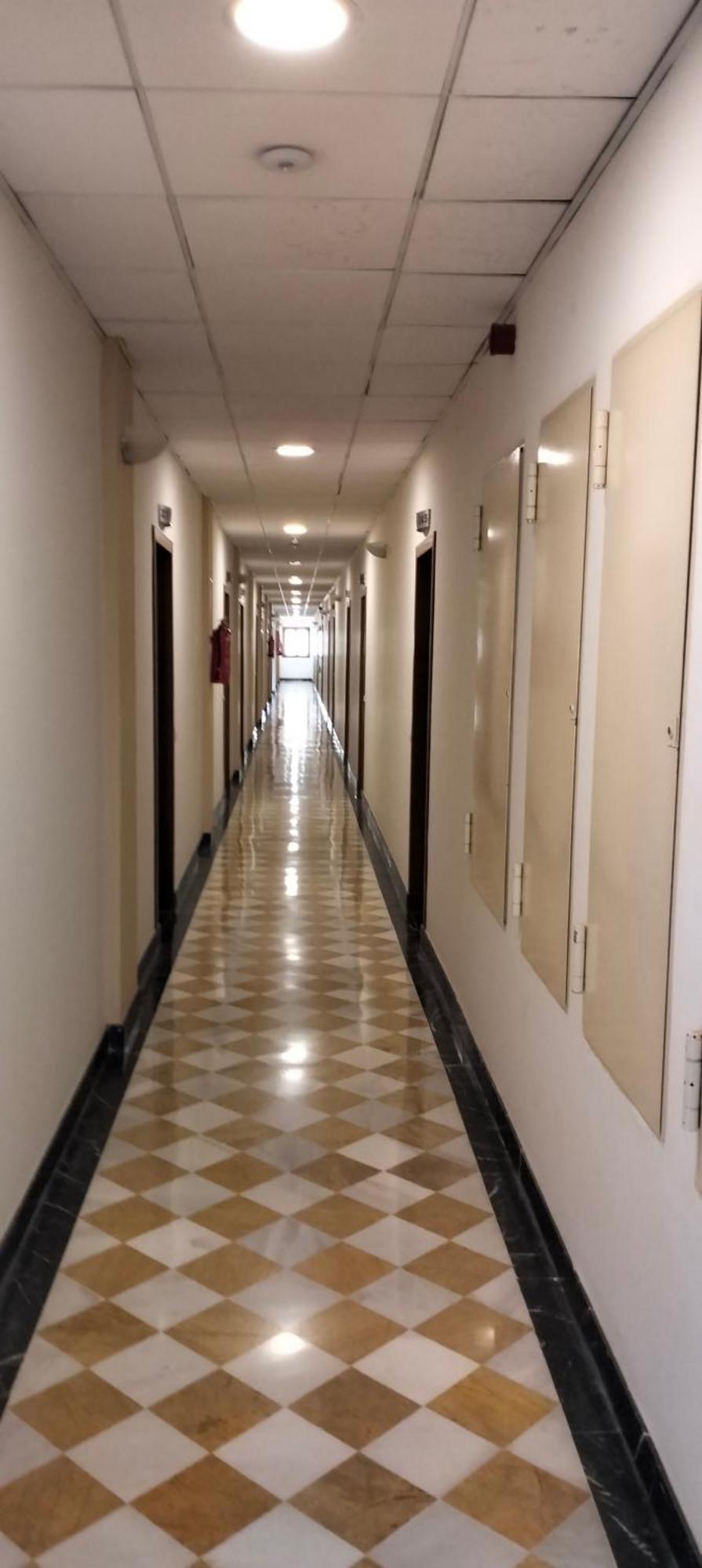 Estudio Fibes-palacio Séville